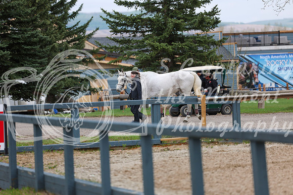 2025 - Shea - Bow Valley II - Friday May 16th - 00002