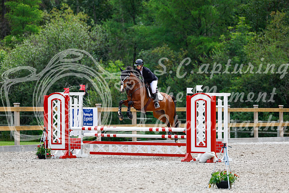 2025 - Haylee - Picco Horse Show - Sunday July 27th 03882