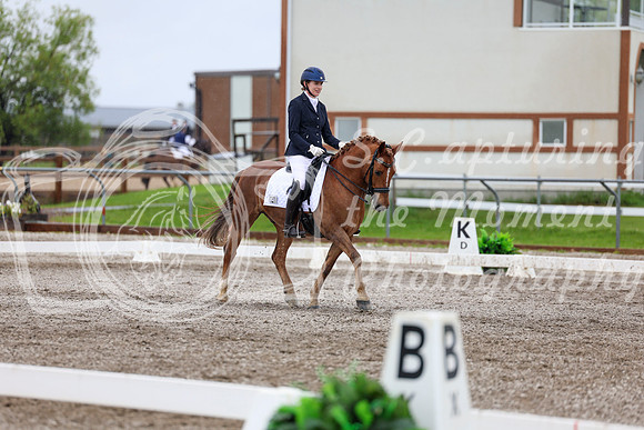 2025 - Dressage Festival - Sunday July 6th - 07621