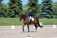 2025 - Dressage Festival - Saturday July 5th - 05276