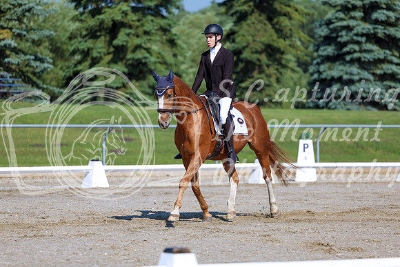 2025 - Dressage Festival - Saturday July 5th - 01702