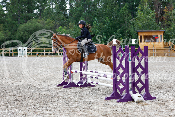 2025 - Haylee - Picco Horse Show - Saturday July 26th 02330