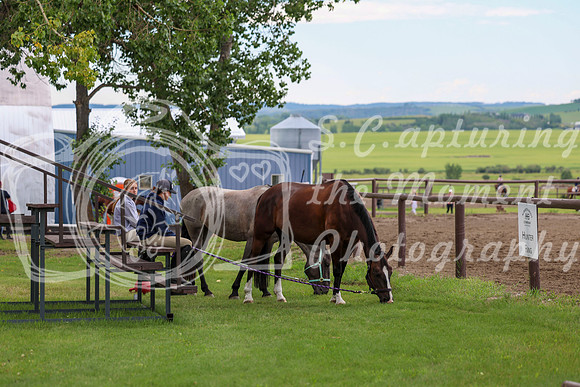 2025 - Shea - Teesdale - Thursday July 24th - 00001