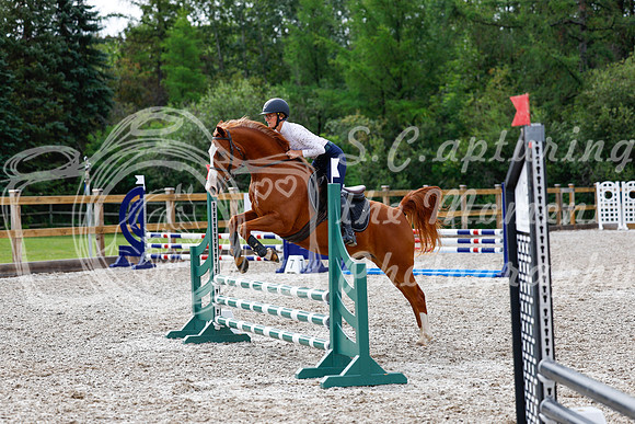 2025 - Haylee - Picco Horse Show - Friay July 25th 00921