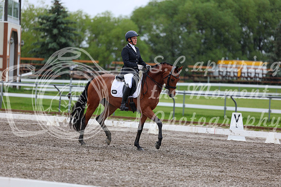 2025 - Dressage Festival - Sunday July 6th - 06515