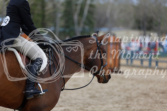2025 - Shea - Bow Valley II - Friday May 16th - 09730
