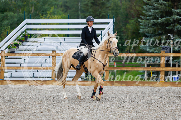 2025 - Haylee - Picco Horse Show - Sunday July 27th 00285
