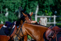 2025 - Haylee - Picco Horse Show - Thursday July 24th 00014