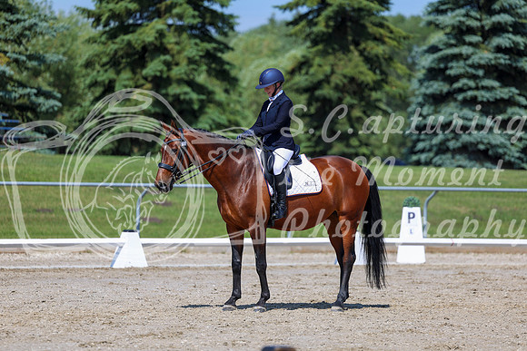 2025 - Dressage Festival - Saturday July 5th - 05658