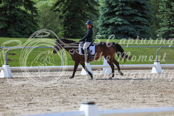 2025 - Dressage Festival - Saturday July 5th - 15538