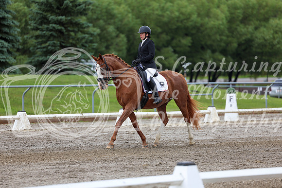 2025 - Dressage Festival - Sunday July 6th - 10389