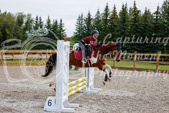 2025 - Haylee - Picco Horse Show - Friay July 25th 00587