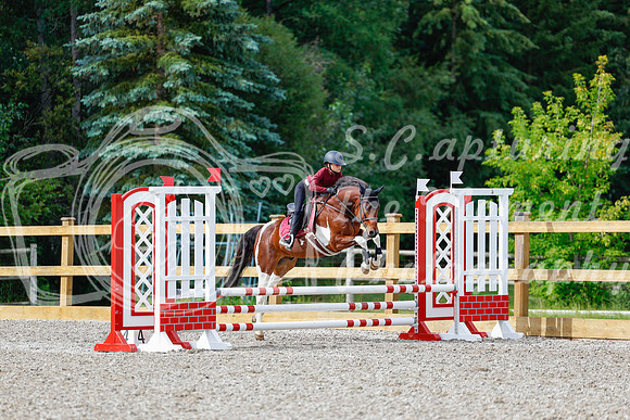 2025 - Haylee - Picco Horse Show - Friay July 25th 00866