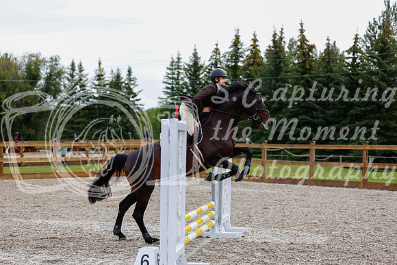2025 - Haylee - Picco Horse Show - Friay July 25th 00437
