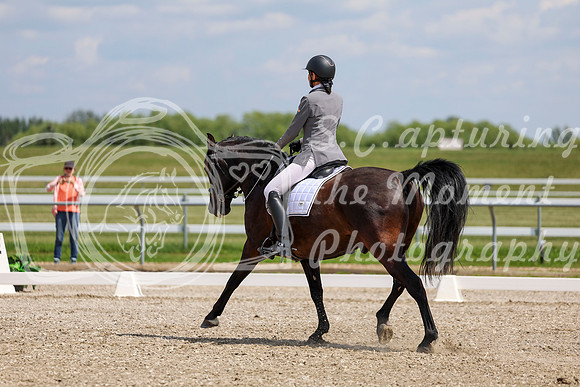 2025 - Dressage Festival - Saturday July 5th - 10320
