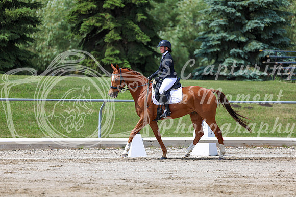 2025 - Dressage Festival - Saturday July 5th - 07984