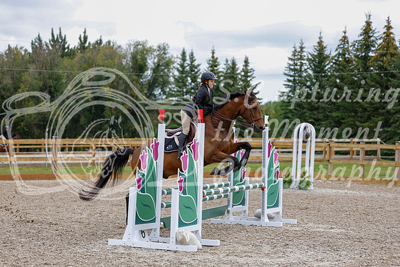 2025 - Haylee - Picco Horse Show - Saturday July 26th 04267