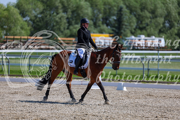 2025 - Dressage Festival - Saturday July 5th - 05159
