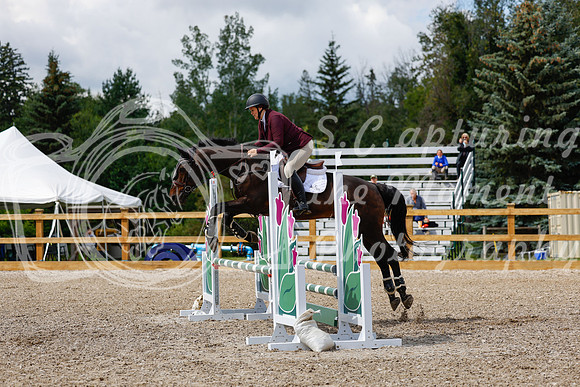 2025 - Haylee - Picco Horse Show - Sunday July 27th 03259