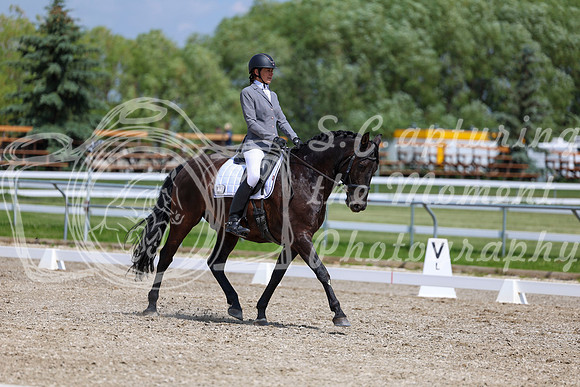 2025 - Dressage Festival - Saturday July 5th - 10301