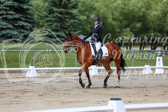 2025 - Dressage Festival - Saturday July 5th - 07293