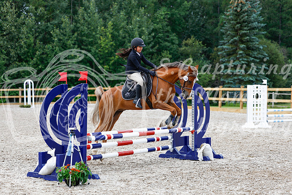 2025 - Haylee - Picco Horse Show - Saturday July 26th 02339