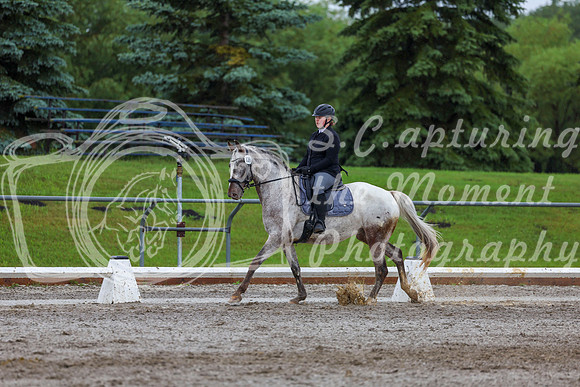 2025 - Dressage Festival - Sunday July 6th - 02168