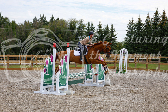 2025 - Haylee - Picco Horse Show - Saturday July 26th 01623