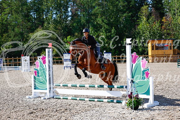 2025 - Haylee - Picco Horse Show - Thursday July 24th 00874