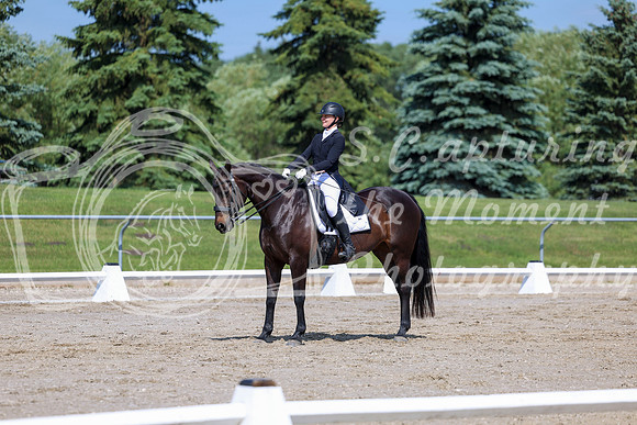 2025 - Dressage Festival - Saturday July 5th - 03653
