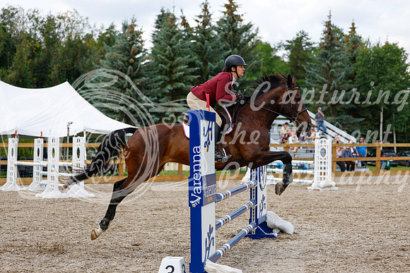 2025 - Haylee - Picco Horse Show - Saturday July 26th 06636