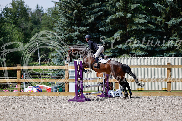 2025 - Haylee - Picco Horse Show - Thursday July 24th 02513
