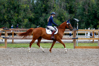 2025 - Haylee - Picco Horse Show - Saturday July 26th 01739