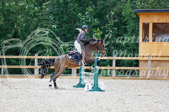 2025 - Haylee - Picco Horse Show - Saturday July 26th 03968