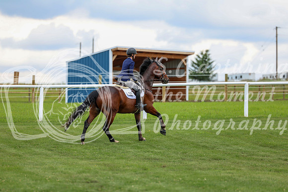 2025 - Shea - Teesdale - Friday July 25th - 06317
