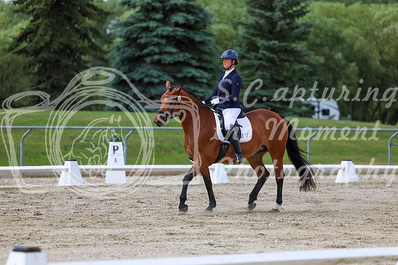 2025 - Dressage Festival - Saturday July 5th - 10470