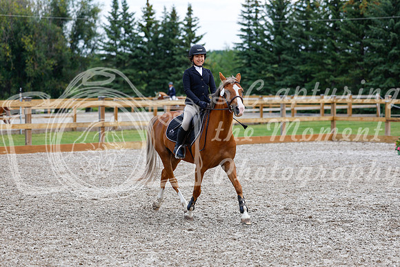 2025 - Haylee - Picco Horse Show - Saturday July 26th 02301