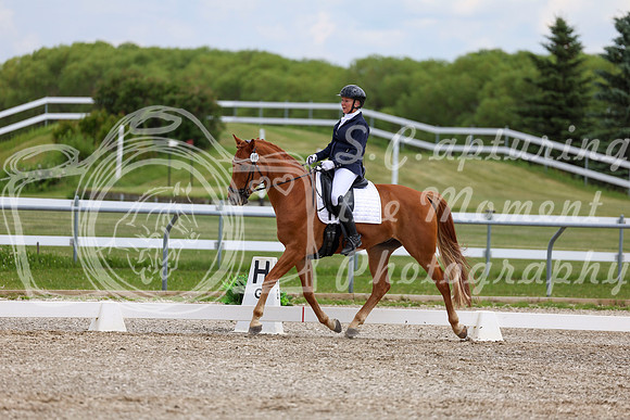 2025 - Dressage Festival - Saturday July 5th - 12485