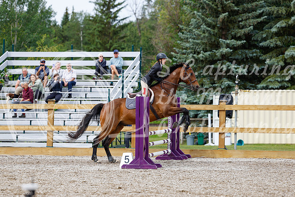 2025 - Haylee - Picco Horse Show - Friay July 25th 01624