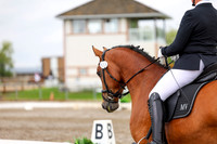 2025 - Dressage Festival - Sunday July 6th - 11695