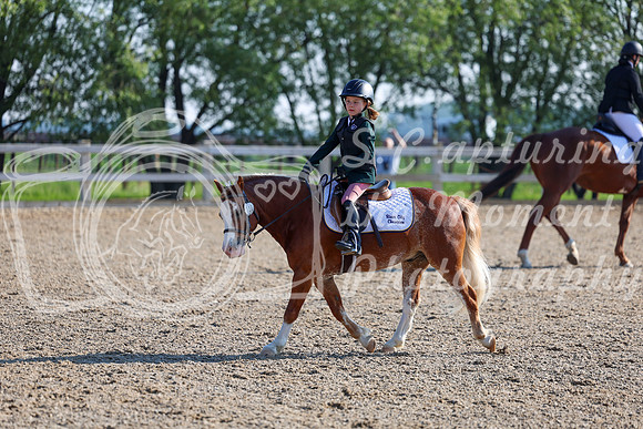 2025 - Dressage Festival - Saturday July 5th - 00040