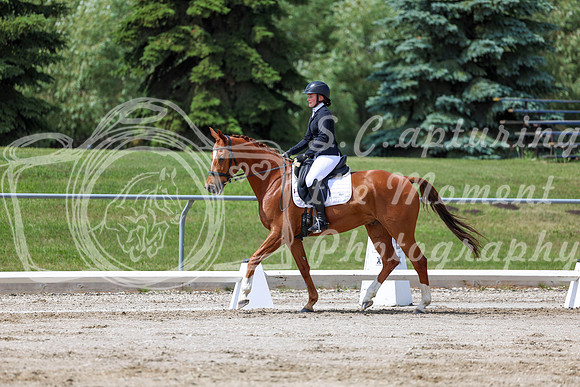 2025 - Dressage Festival - Saturday July 5th - 07983
