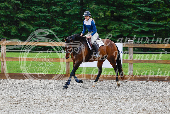 2025 - Haylee - Picco Horse Show - Saturday July 26th 00435