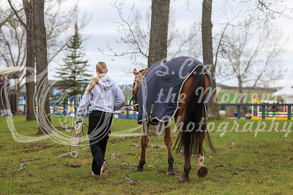 2025 - Shea - Bow Valley II - Thursday May 15th - 00492