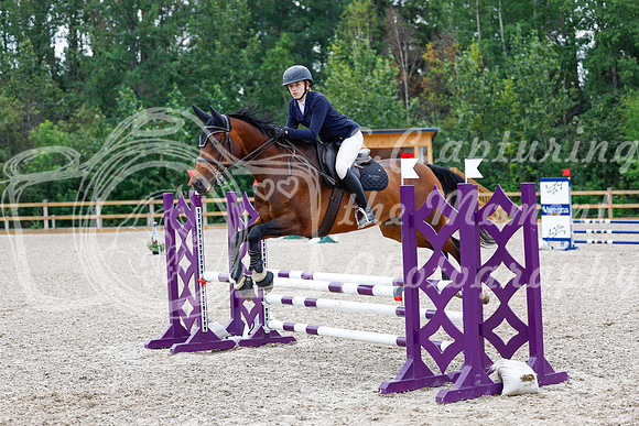 2025 - Haylee - Picco Horse Show - Saturday July 26th 04665