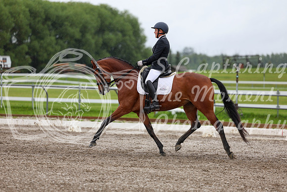 2025 - Dressage Festival - Sunday July 6th - 06575