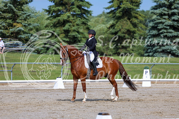 2025 - Dressage Festival - Saturday July 5th - 02618