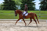 2025 - Dressage Festival - Saturday July 5th - 14155