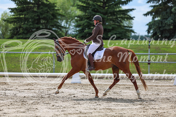 2025 - Dressage Festival - Saturday July 5th - 14155