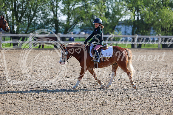 2025 - Dressage Festival - Saturday July 5th - 00035